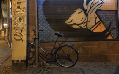 Das Streiflicht