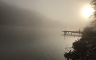 Das Streiflicht